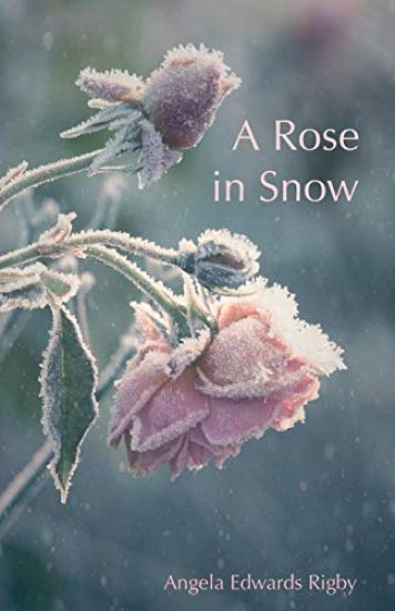 Rose in Snow