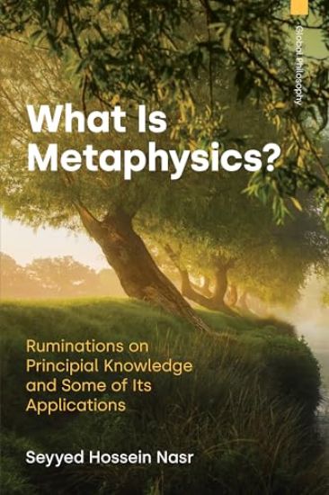 What Is Metaphysics?