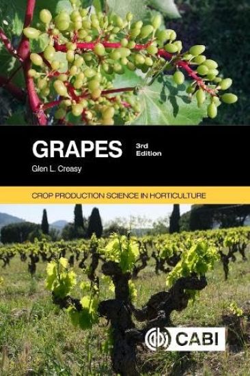 Kansikuva: Grapes