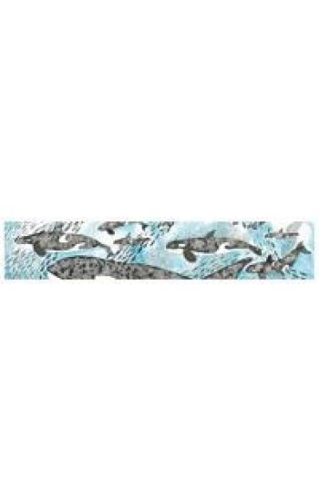 Orcas Card