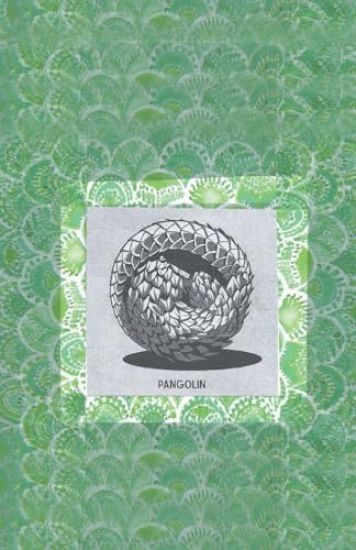 Pangolin
