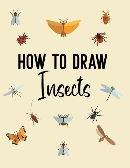 How to Draw Insects