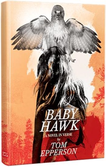 Baby Hawk: A Novel in Verse