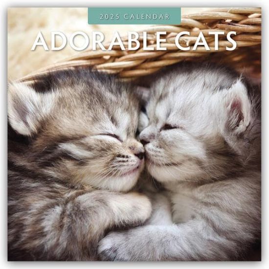 Red Robin Publishing: Adorable Cats 2025 Square Wall Calenda