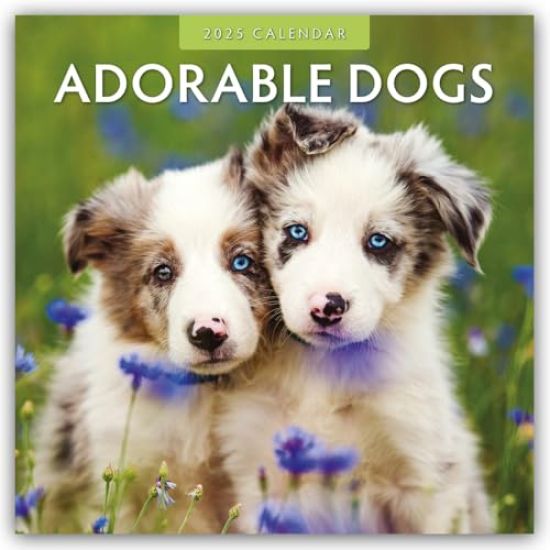 Red Robin Publishing Ltd.: Adorable Dogs 2025 Square Wall Ca