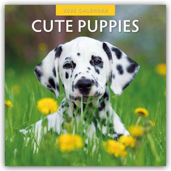 Red Robin: Cute Puppies 2025 Square Wall Calendar