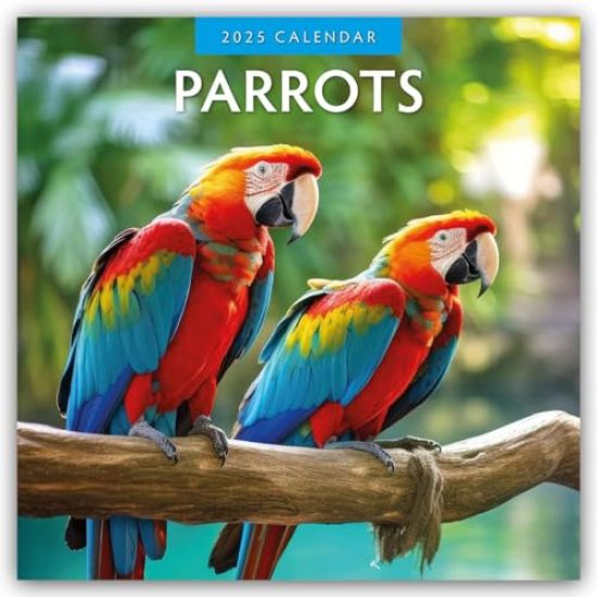 Parrots 2025 Square Wall Calendar