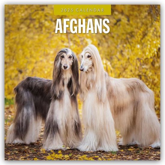 Red Robin: Afghans 2025 Square Wall Calendar