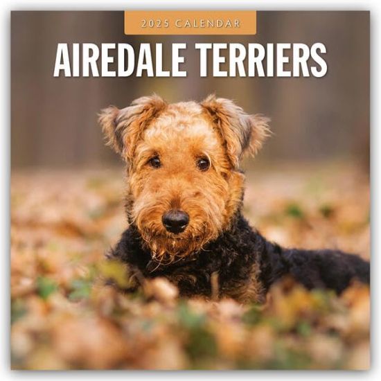 Red Robin: Airedale Terriers 2025 Square Wall Calendar