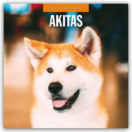 Red Robin: Akitas 2025 Square Wall Calendar