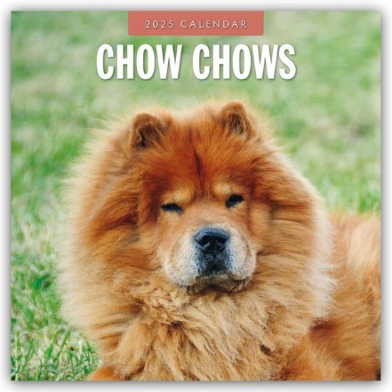 Red Robin: Chow Chows 2025 Square Wall Calendar