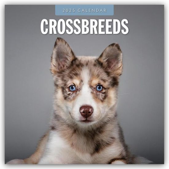 Red Robin: Crossbreeds 2025 Square Wall Calendar