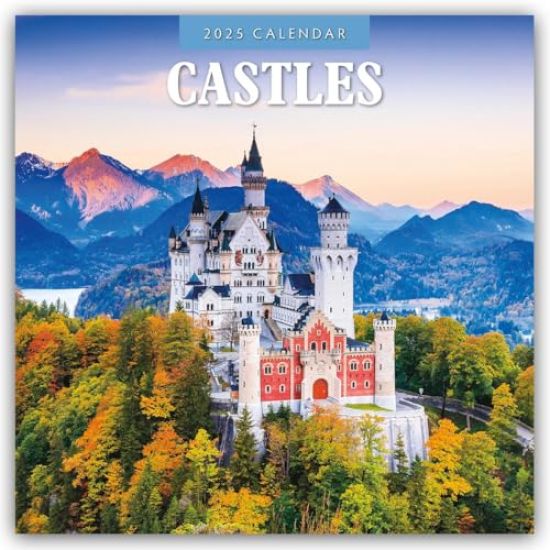 Red Robin: American Classics 2025 Square Wall Calendar