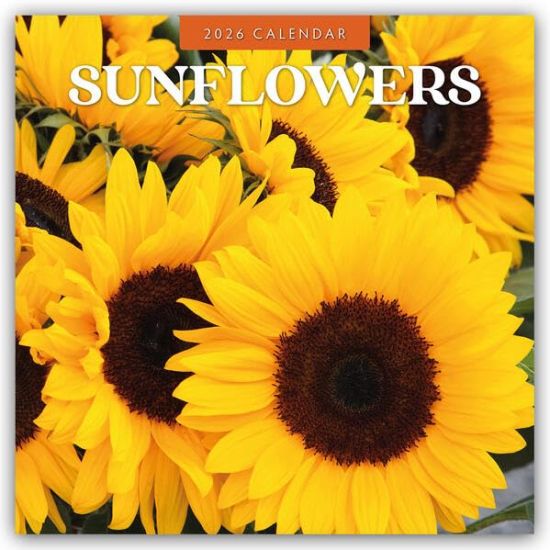 Sunflowers - Sonnenblumen 2026 - 16-Monatskalender