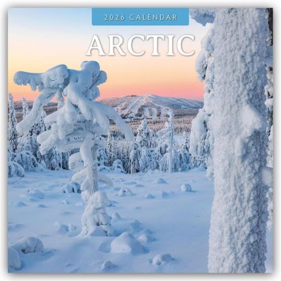 Arctic - Arktis 2026 - 16-Monatskalender