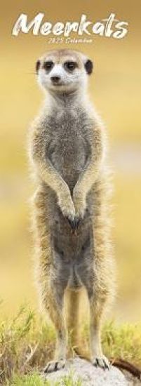 Meerkats Slim Calendar 2025 Cute Slimline Calendar - 12 Month