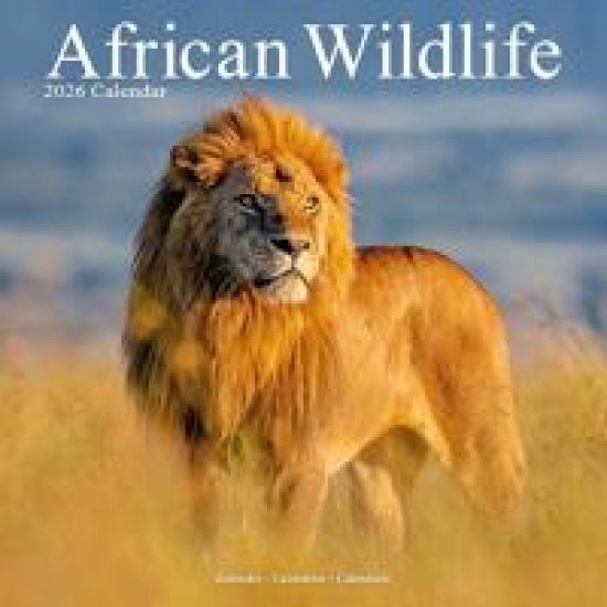African Wildlife Calendar 2026  Square Wildlife Safari Wall Calendar - 16 Month