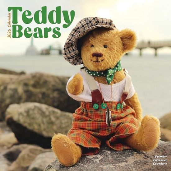 Teddy Bears Calendar 2026  Square Wall Calendar - 16 Month