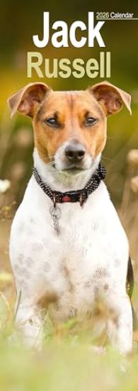 Jack Russell Slim Calendar 2026  Dog Breed Slimline Calendar - 12 Month