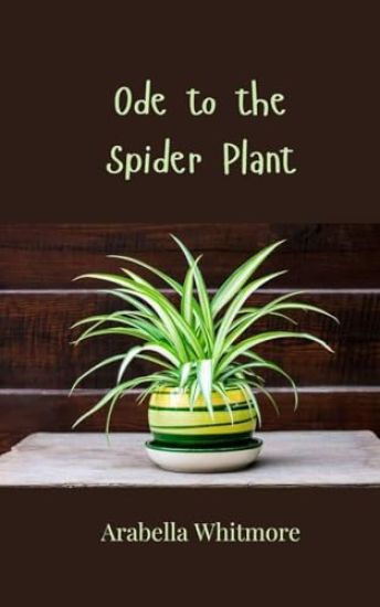 Ode to the Spider Plant