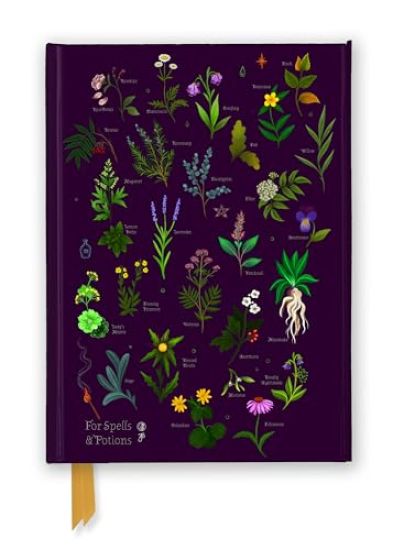 Kansikuva: Anna Stead: For Spells & Potions (Foiled Journal)