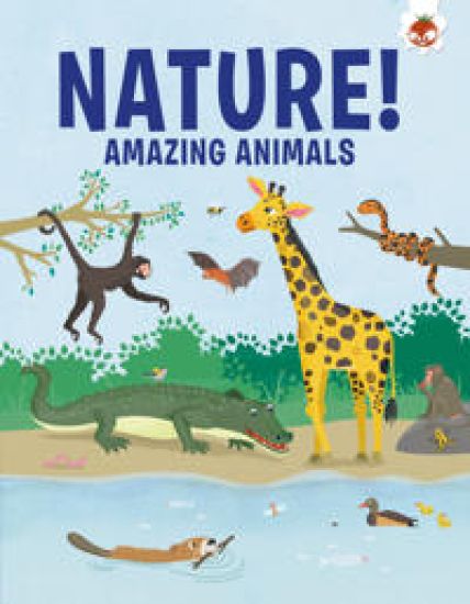 Amazing Animals