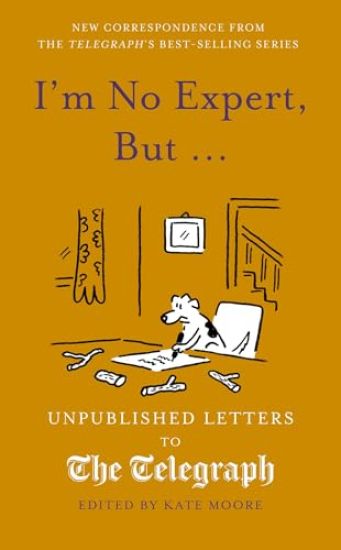 I'm No Expert, But ...