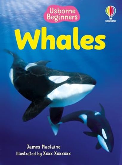 Beginners Whales