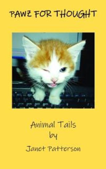 Pawz for Thought