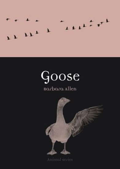 Goose