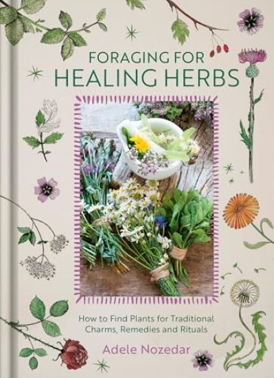 Foraging for Healing Herbs