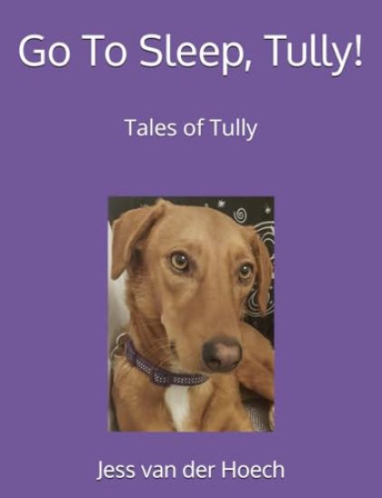 Go To Sleep, Tully!