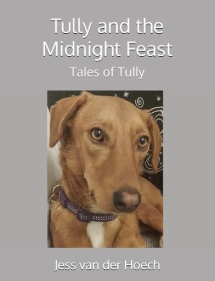 Tully and the Midnight Feast