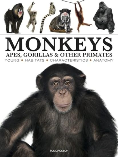Monkeys