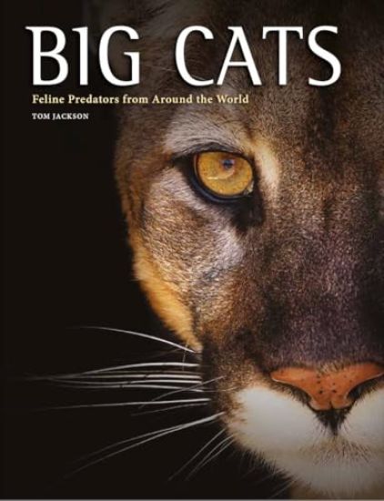 Big Cats