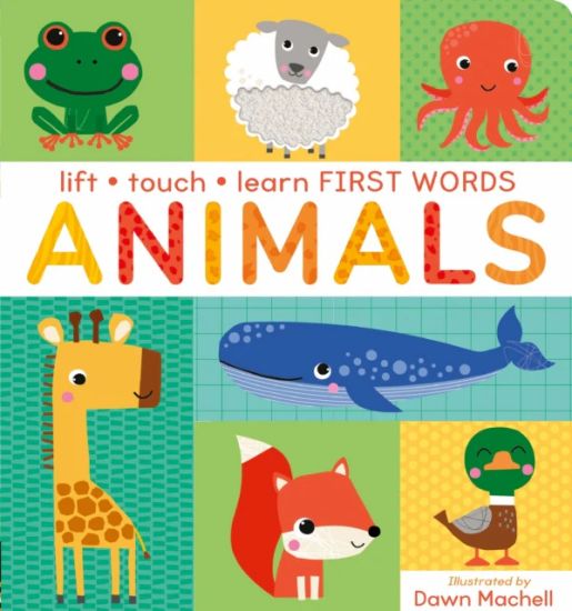 Kansikuva: Lift, Touch Learn First Words: Animals