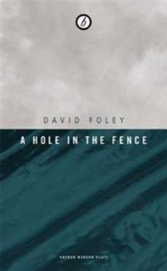Hole in the Fence