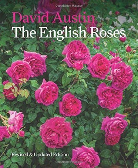 English Roses