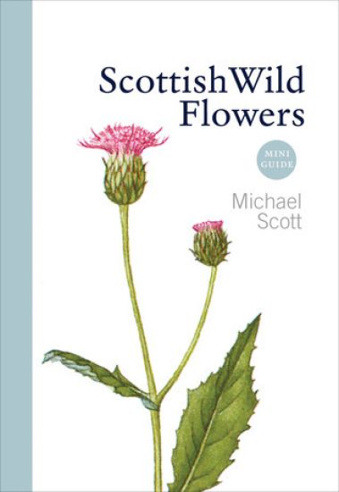 Scottish Wild Flowers