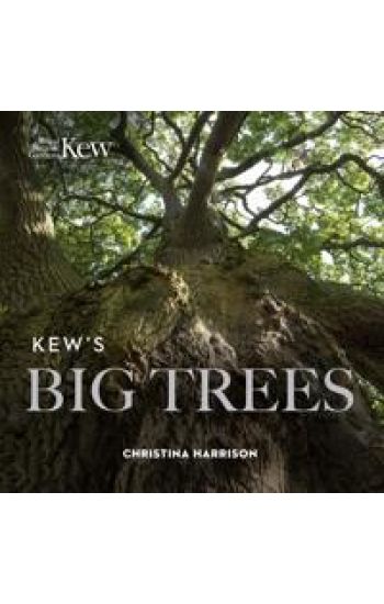 Kew’s Big Trees