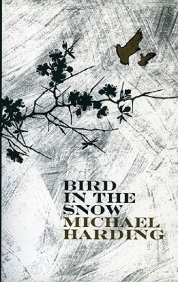 Bird In The Snow