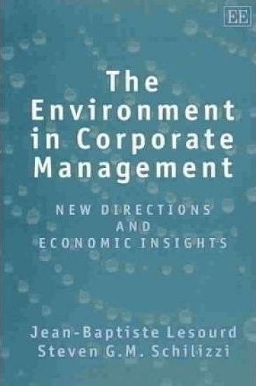 The Environment in Corporate Management