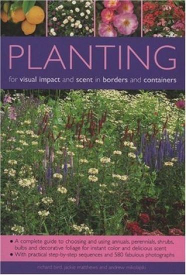 Planting for Visual Impact and Scent in Borders and Containers