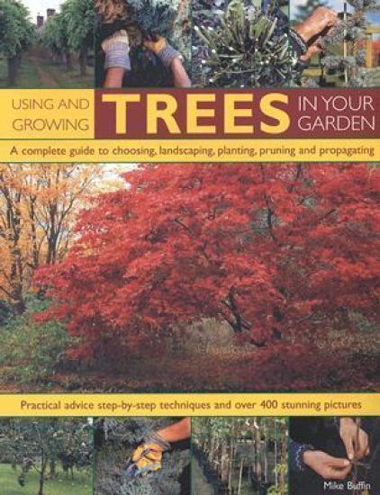 Using and Growing Trees in Your Garden