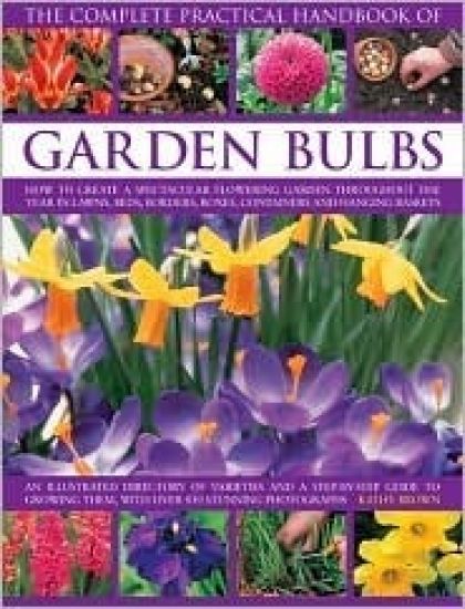Complete Practical Handbook of Garden Bulbs