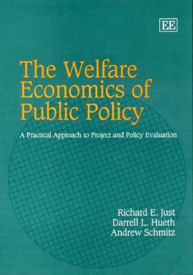 The Welfare Economics of Public Policy