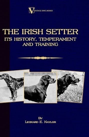 The Irish Setter - Its History, Temperament And Training (A Vintage Dog Books Breed Classic)