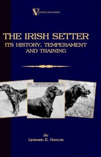 The Irish Setter - Its History, Temperament And Training (A Vintage Dog Books Breed Classic)