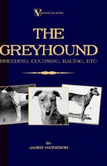 The Greyhound