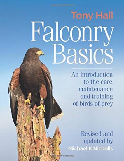 Falconry Basics
